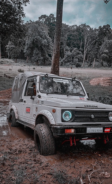 总能展现超 总能展现超