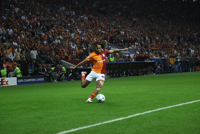 队中不可或 队中不可或