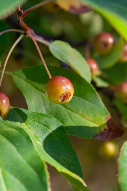 益的协调 益的协调