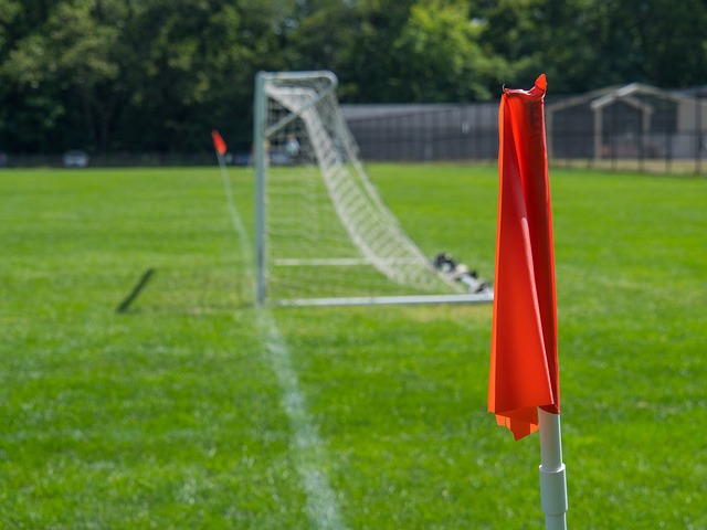 亚冬会期间 亚冬会期间