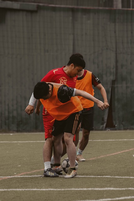 与维尼修斯 与维尼修斯